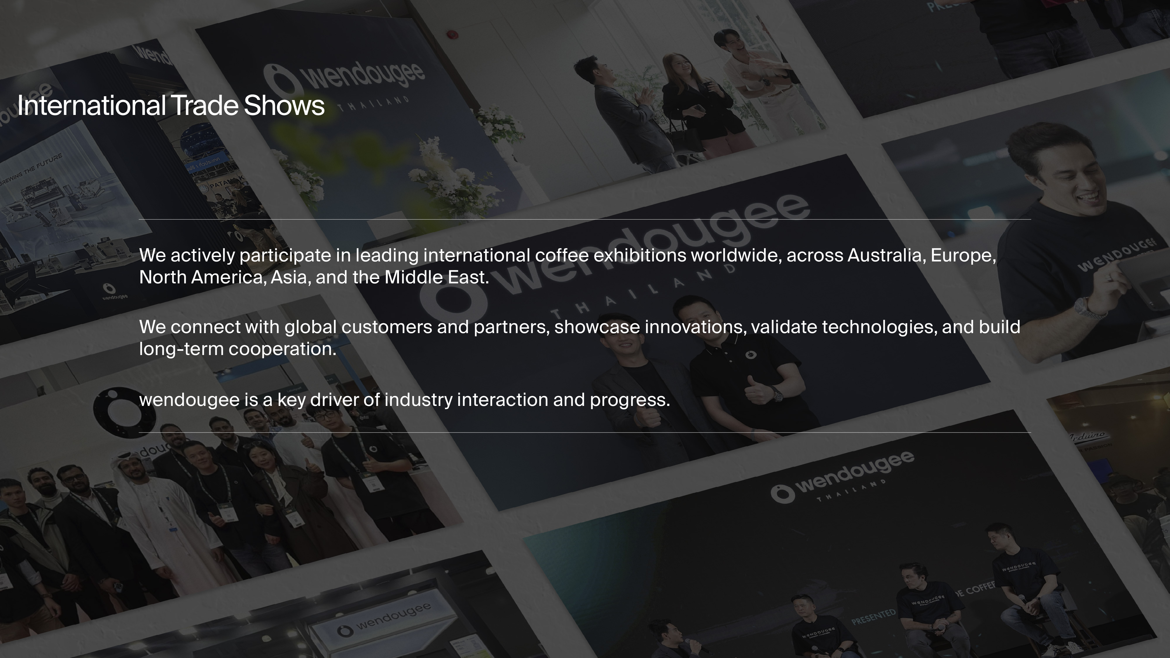 Company profile 8